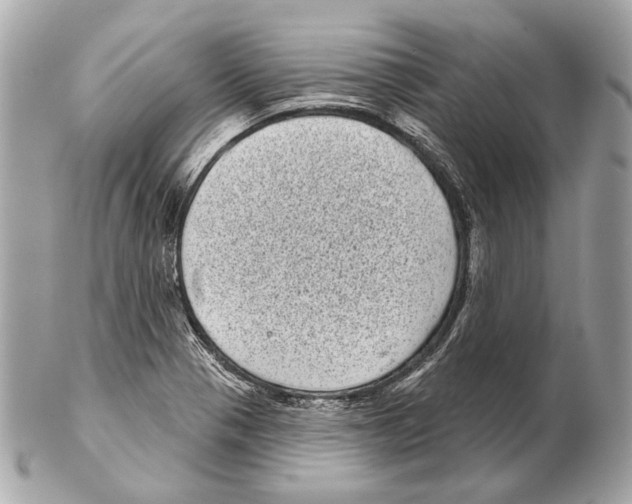 X0000102401321200808291437