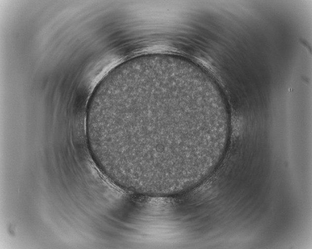 X0000102401322200808291437