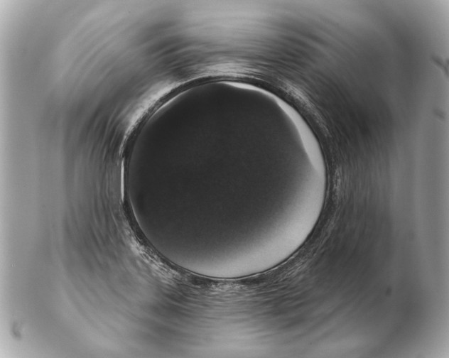 X0000102401323200808291437