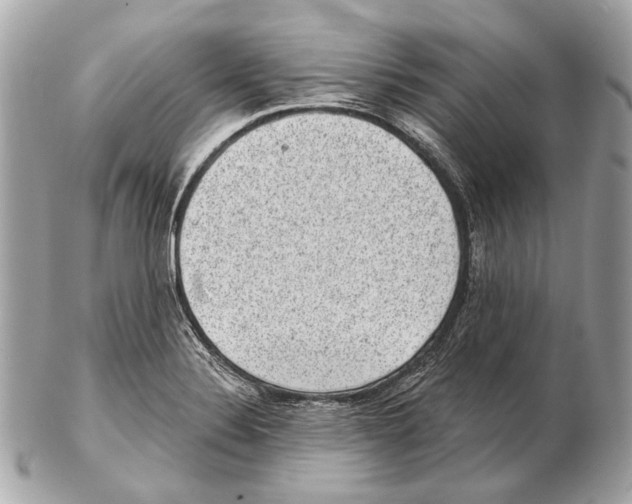 X0000102401324200808291437