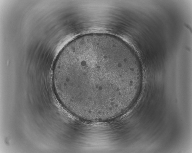 X0000102401325200808291437