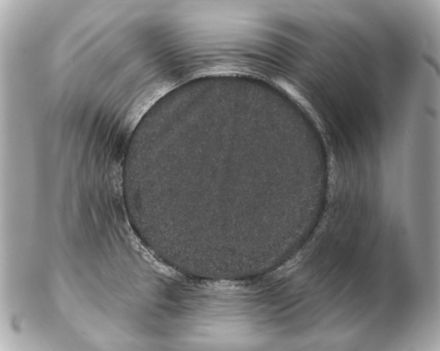 X0000102401329200808291437