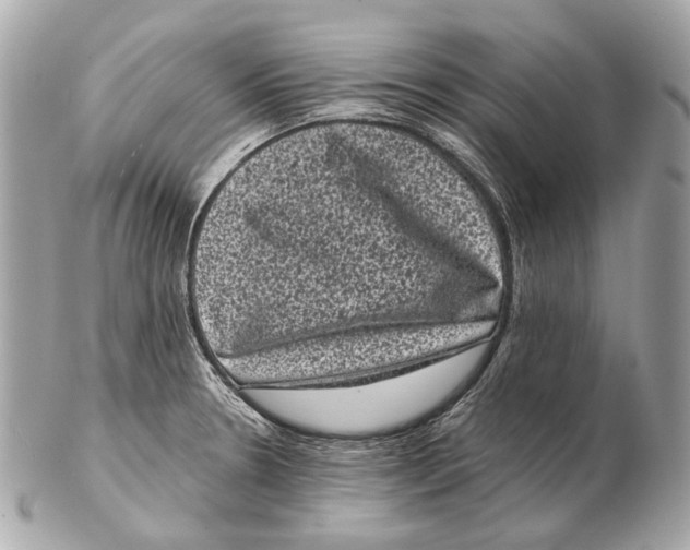 X0000102401330200808291437