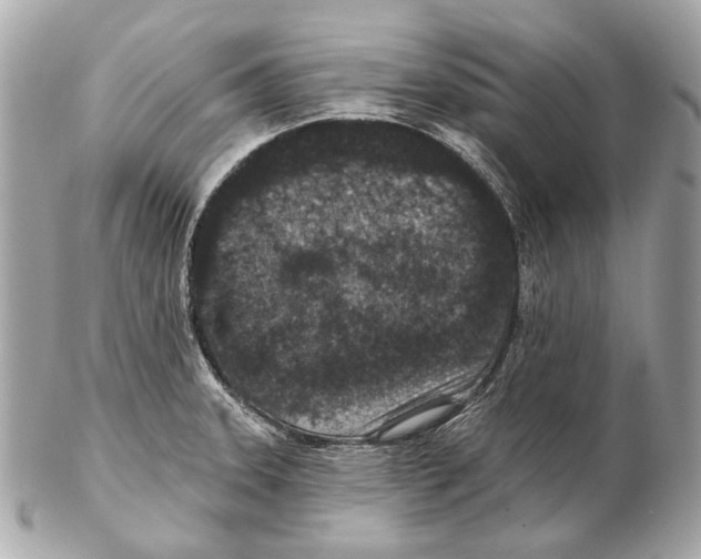 X0000102401331200808291437