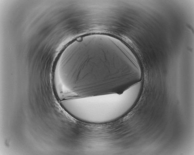X0000102401334200808291437