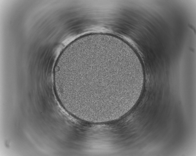X0000102401335200808291437