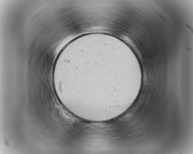 X0000102401336200808291437