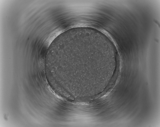 X0000102401337200808291437