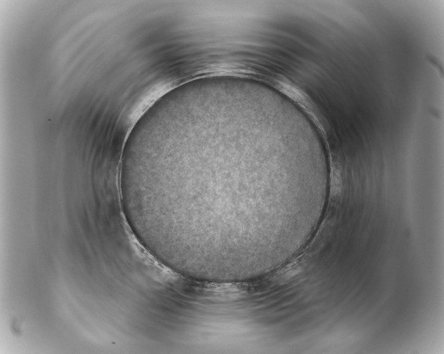 X0000102401338200808291437