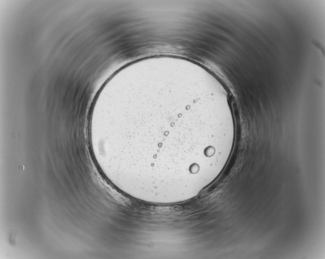 X0000102401339200808291437