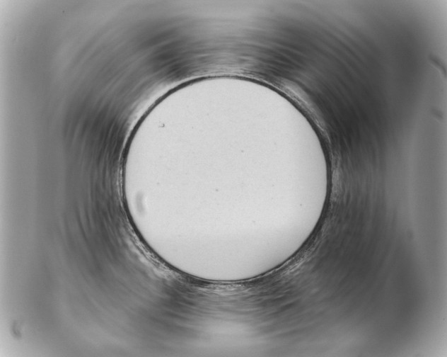 X0000102401340200808291437