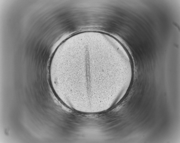 X0000102401341200808291437