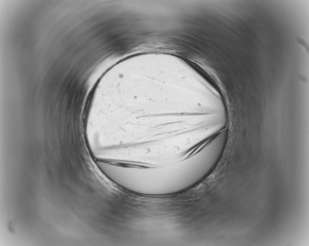 X0000102401344200808291437