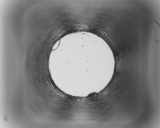 X0000102401345200808291436