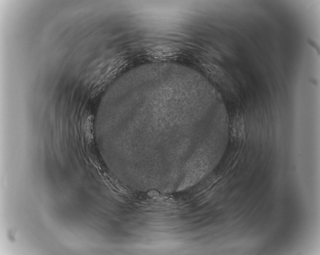 X0000102401346200808291436