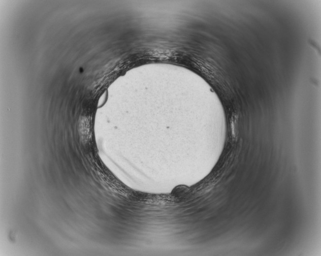 X0000102401347200808291436