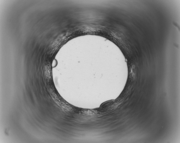 X0000102401348200808291436