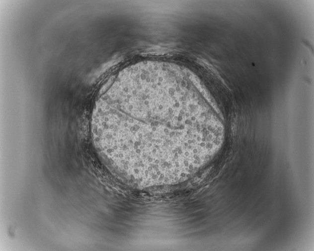 X0000102401350200808291436