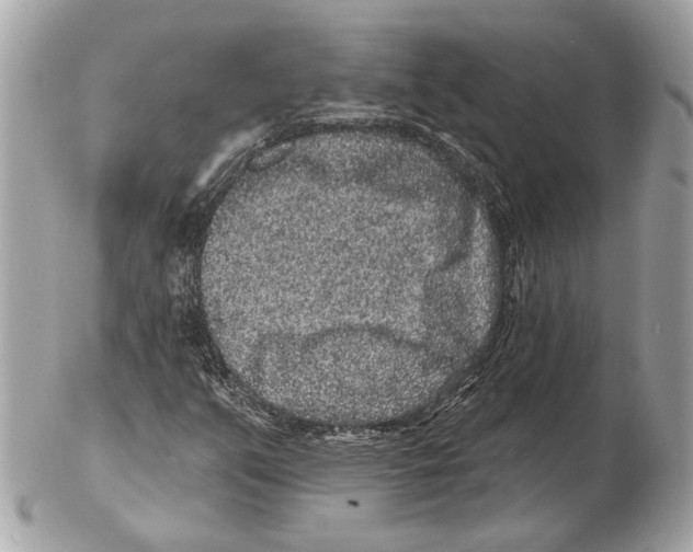 X0000102401351200808291436