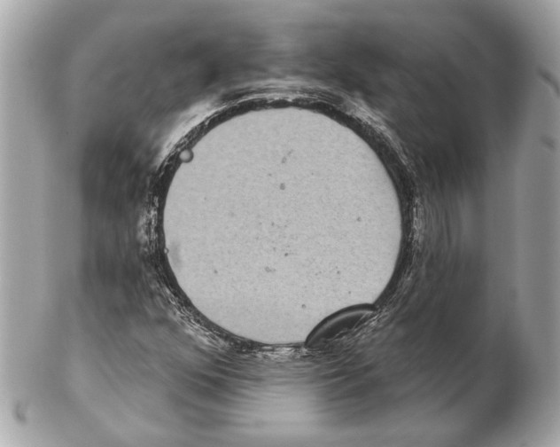 X0000102401352200808291436