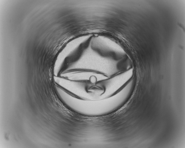 X0000102401353200808291436