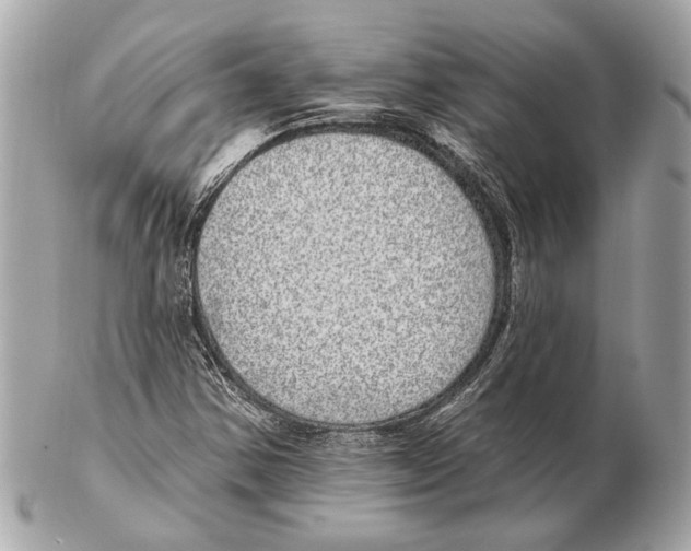 X0000102401354200808291436