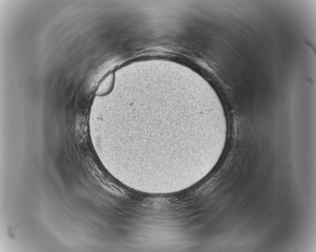 X0000102401355200808291436