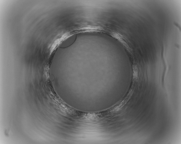X0000102401357200808291436