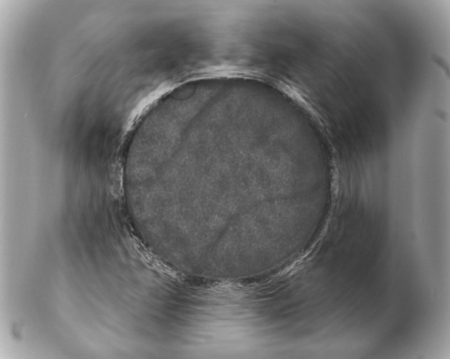 X0000102401358200808291436