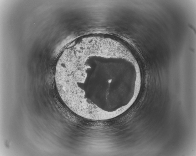 X0000102401359200808291436