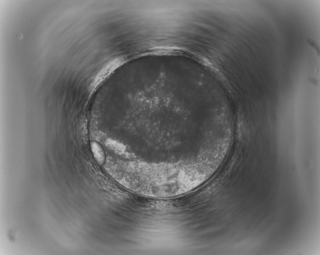 X0000102401362200808291436