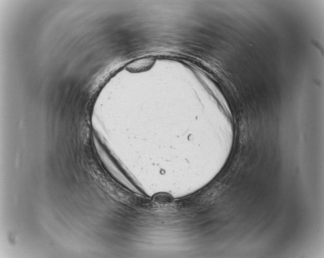 X0000102401363200808291436