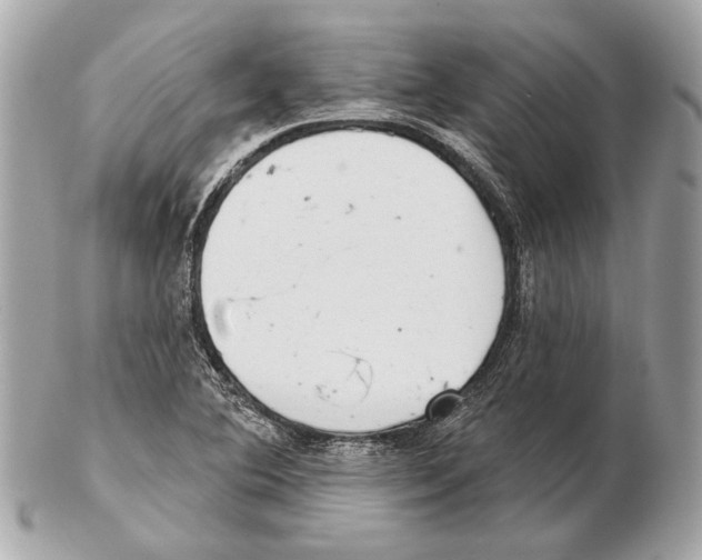 X0000102401364200808291436