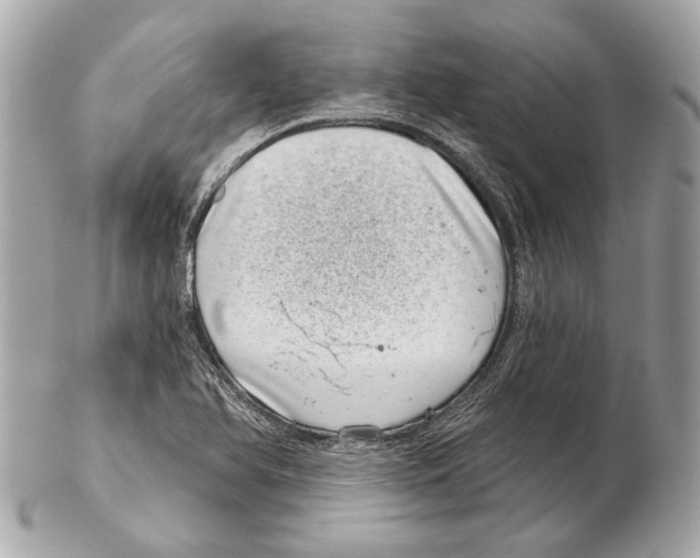 X0000102401366200808291436