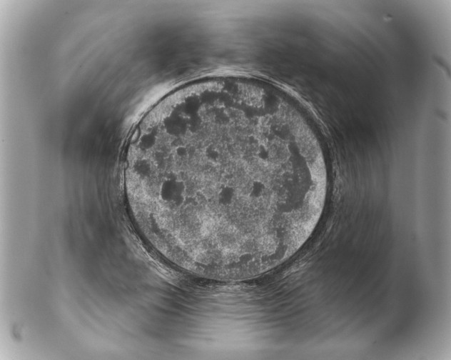 X0000102401367200808291436