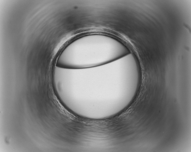 X0000102401368200808291436