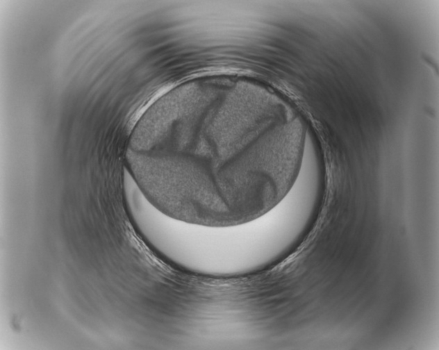 X0000102401369200808291436