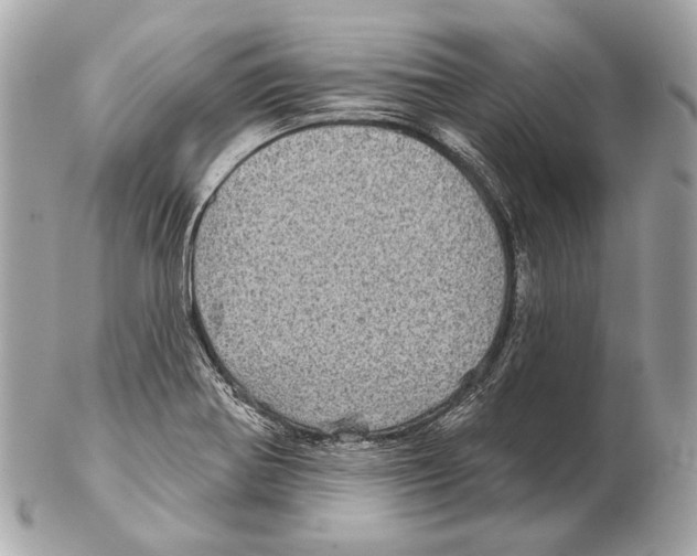 X0000102401370200808291436