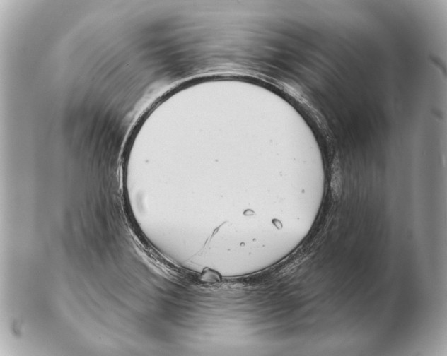X0000102401372200808291436