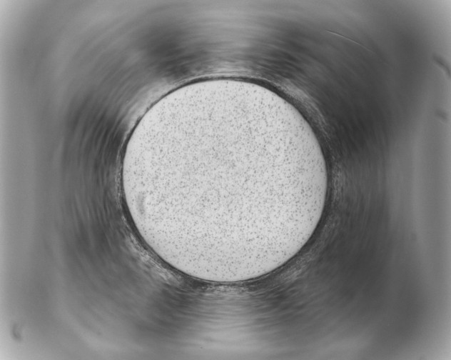 X0000102401374200808291436