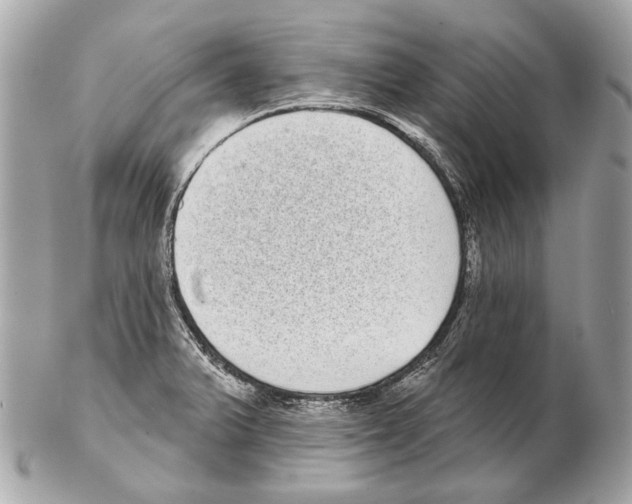 X0000102401375200808291436