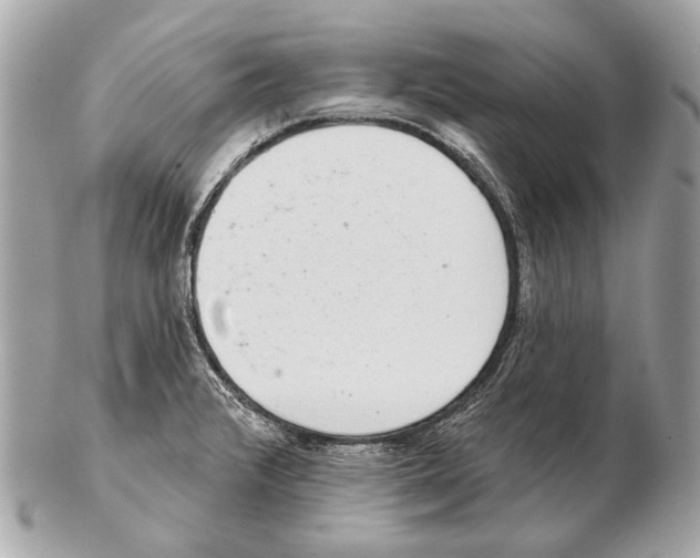 X0000102401376200808291436