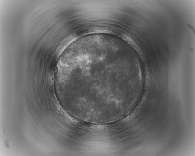 X0000102401377200808291436