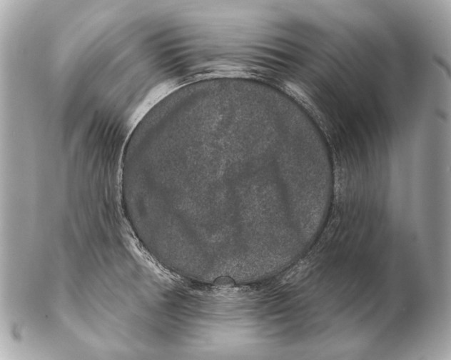 X0000102401378200808291436