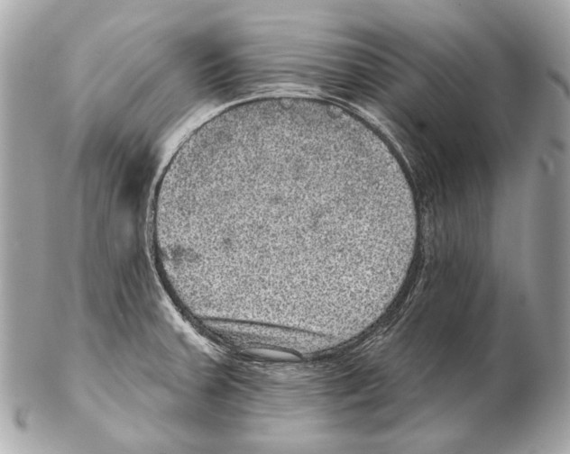 X0000102401379200808291436