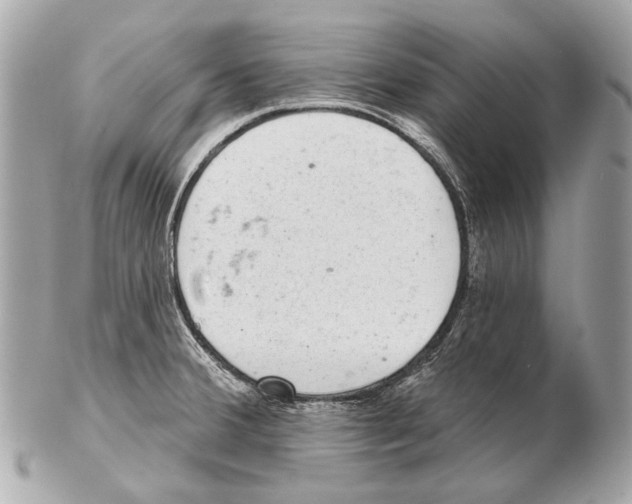 X0000102401380200808291436