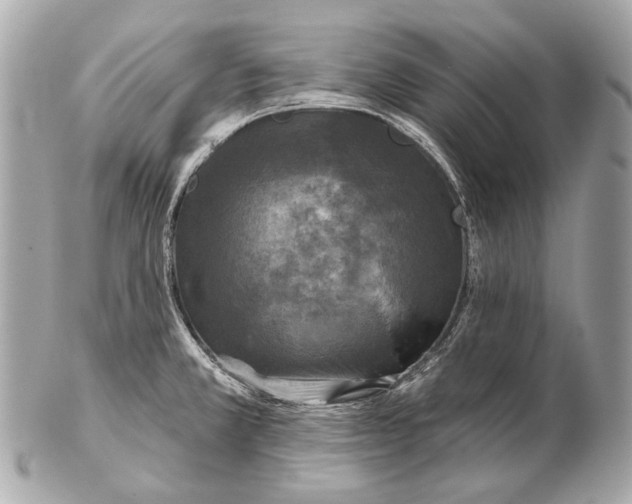 X0000102401381200808291436