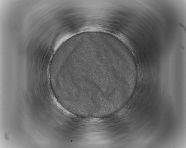 X0000102401382200808291436