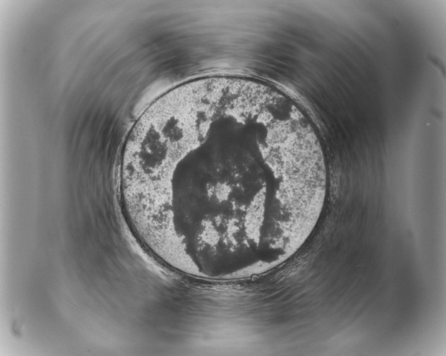 X0000102401383200808291436