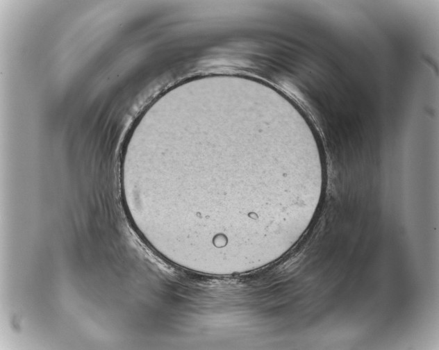 X0000102401384200808291436